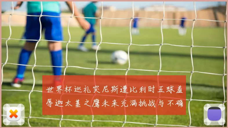 世界杯巡礼突尼斯遭比利时五球羞辱迦太基之鹰未来充满挑战与不确定性